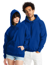 Hanes EcoSmart Unisex Fleece Hoodie (Big & Tall Sizes Available)
