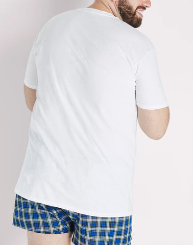 Hanes Ultimate Big Men’s V-Neck T-Shirt Pack, 4-Pack, (Big & Tall Sizes)