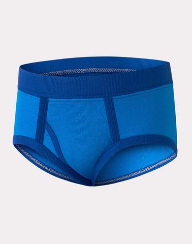 Hanes Toddler Boys' Tagless Briefs, Dinosaur Prints & Solids, 10-Pack