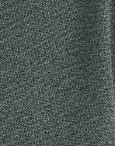 Hanes Men's Pique Polo Shirt (Big & Tall Sizes Available)