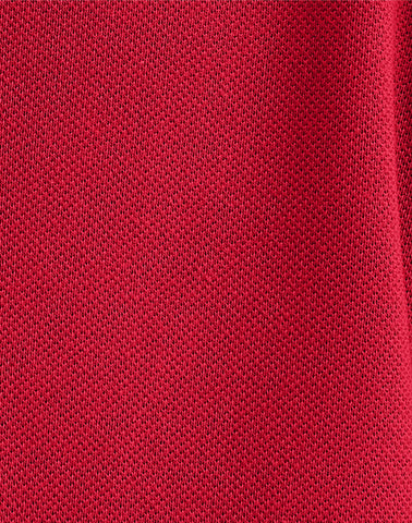 Hanes Men's Pique Polo Shirt (Big & Tall Sizes Available)