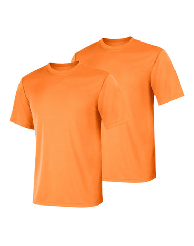 Hanes Sport Cool DRI Men's Performance T-Shirt, Value 2-Pack