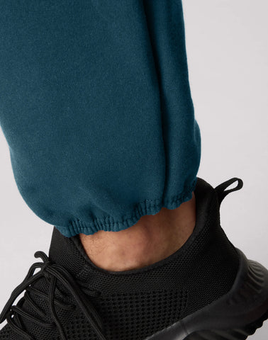 Hanes Sport Ultimate Men's Fleece Joggers, 32