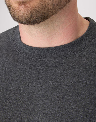 Hanes EcoSmart Unisex Fleece Sweatshirt (Big & Tall Sizes Available)