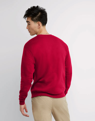 Hanes EcoSmart Unisex Fleece Sweatshirt (Big & Tall Sizes Available)