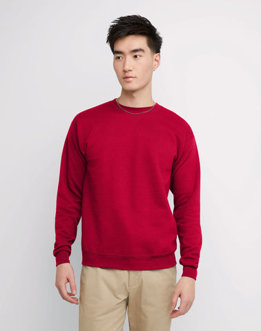Hanes EcoSmart Unisex Fleece Sweatshirt (Big & Tall Sizes Available)