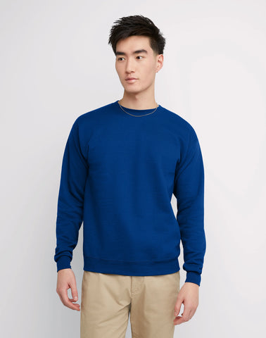 Hanes EcoSmart Unisex Fleece Sweatshirt (Big & Tall Sizes Available)