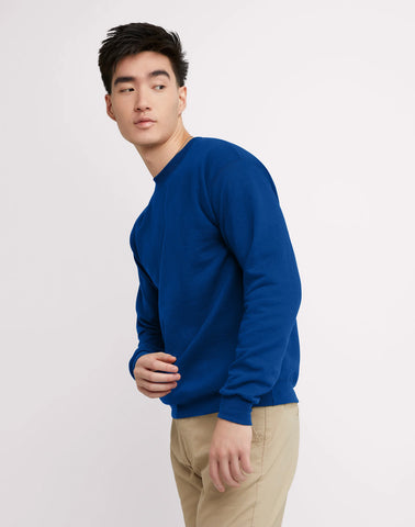 Hanes EcoSmart Unisex Fleece Sweatshirt (Big & Tall Sizes Available)