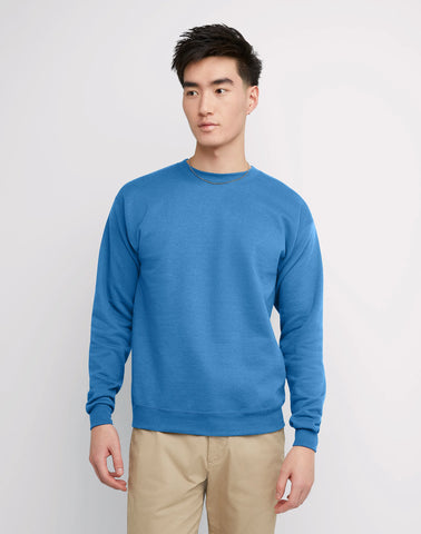 Hanes EcoSmart Unisex Fleece Sweatshirt (Big & Tall Sizes Available)