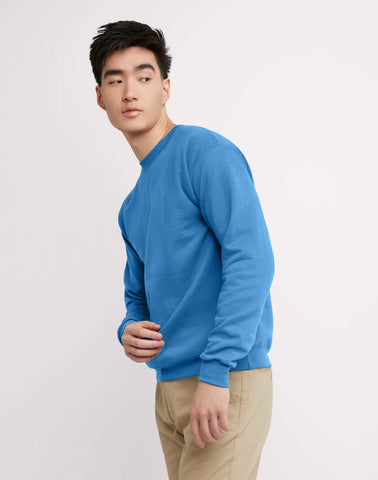 Hanes EcoSmart Unisex Fleece Sweatshirt (Big & Tall Sizes Available)