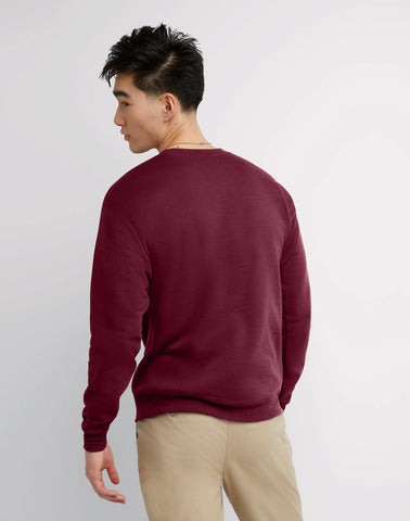 Hanes EcoSmart Unisex Fleece Sweatshirt (Big & Tall Sizes Available)