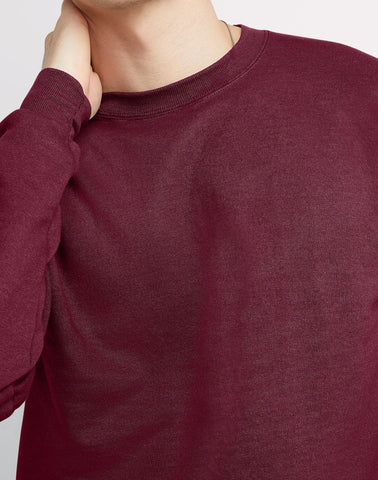 Hanes EcoSmart Unisex Fleece Sweatshirt (Big & Tall Sizes Available)