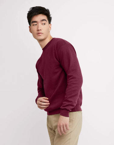 Hanes EcoSmart Unisex Fleece Sweatshirt (Big & Tall Sizes Available)
