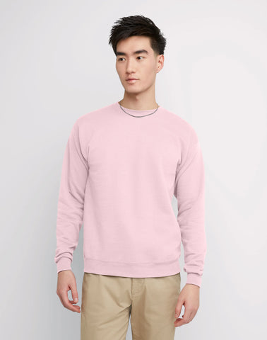 Hanes EcoSmart Unisex Fleece Sweatshirt (Big & Tall Sizes Available)