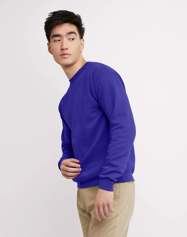 Hanes EcoSmart Unisex Fleece Sweatshirt (Big & Tall Sizes Available)
