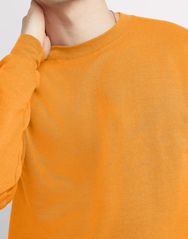 Hanes EcoSmart Unisex Fleece Sweatshirt (Big & Tall Sizes Available)