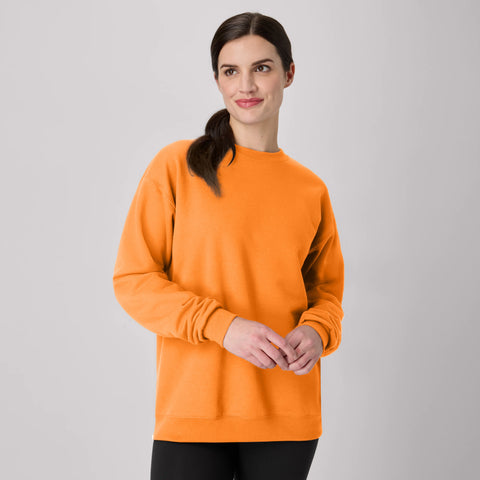 Hanes EcoSmart Unisex Fleece Sweatshirt (Big & Tall Sizes Available)