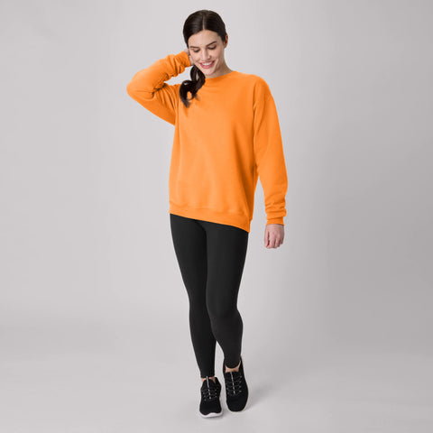 Hanes EcoSmart Unisex Fleece Sweatshirt (Big & Tall Sizes Available)