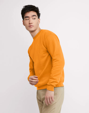 Hanes EcoSmart Unisex Fleece Sweatshirt (Big & Tall Sizes Available)