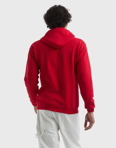 Hanes EcoSmart Unisex Fleece Hoodie (Big & Tall Sizes Available)