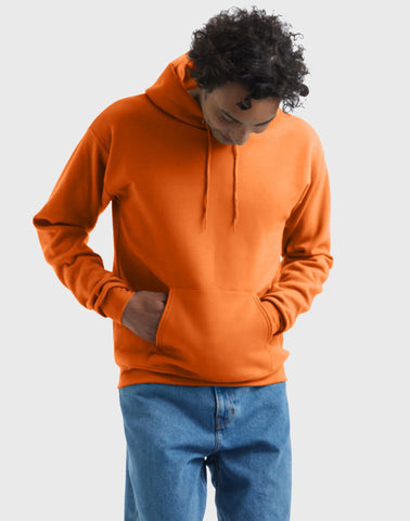 Hanes EcoSmart Unisex Fleece Hoodie (Big & Tall Sizes Available)