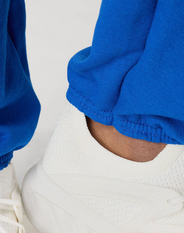 Hanes EcoSmart Men's Fleece Sweatpants, 32